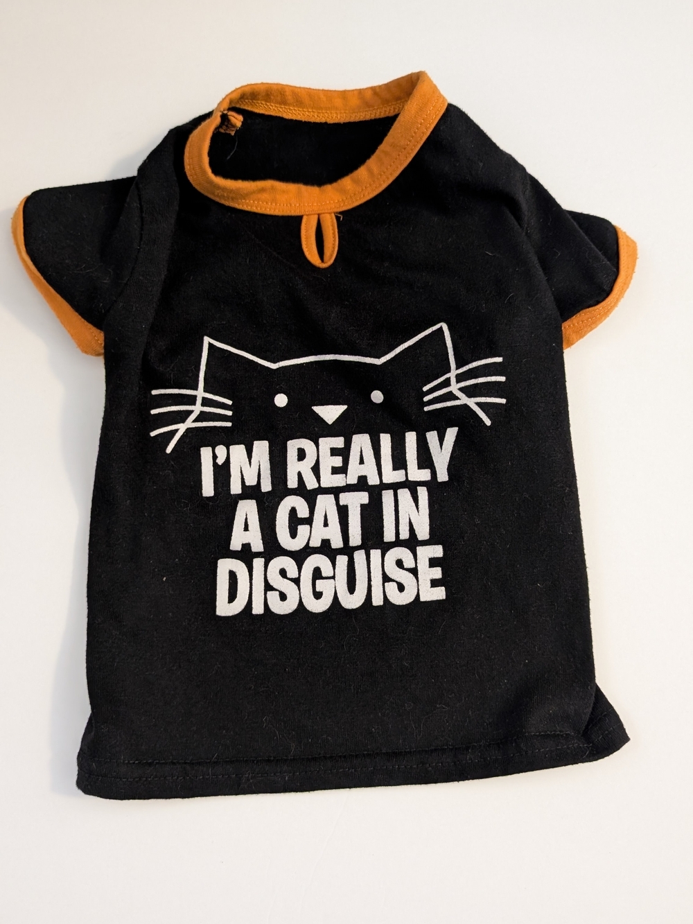 Black & Orange Pet Tee with Cat Graphic